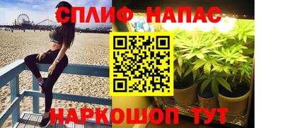 МДПВ Обнинск